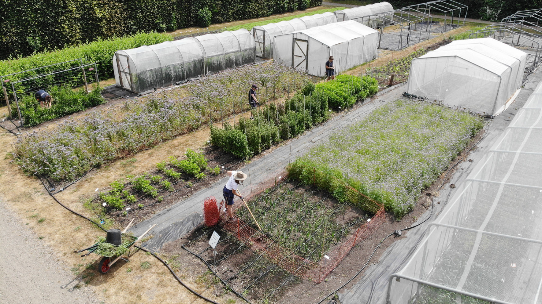 Drone shot of a garden in which three persons are working 