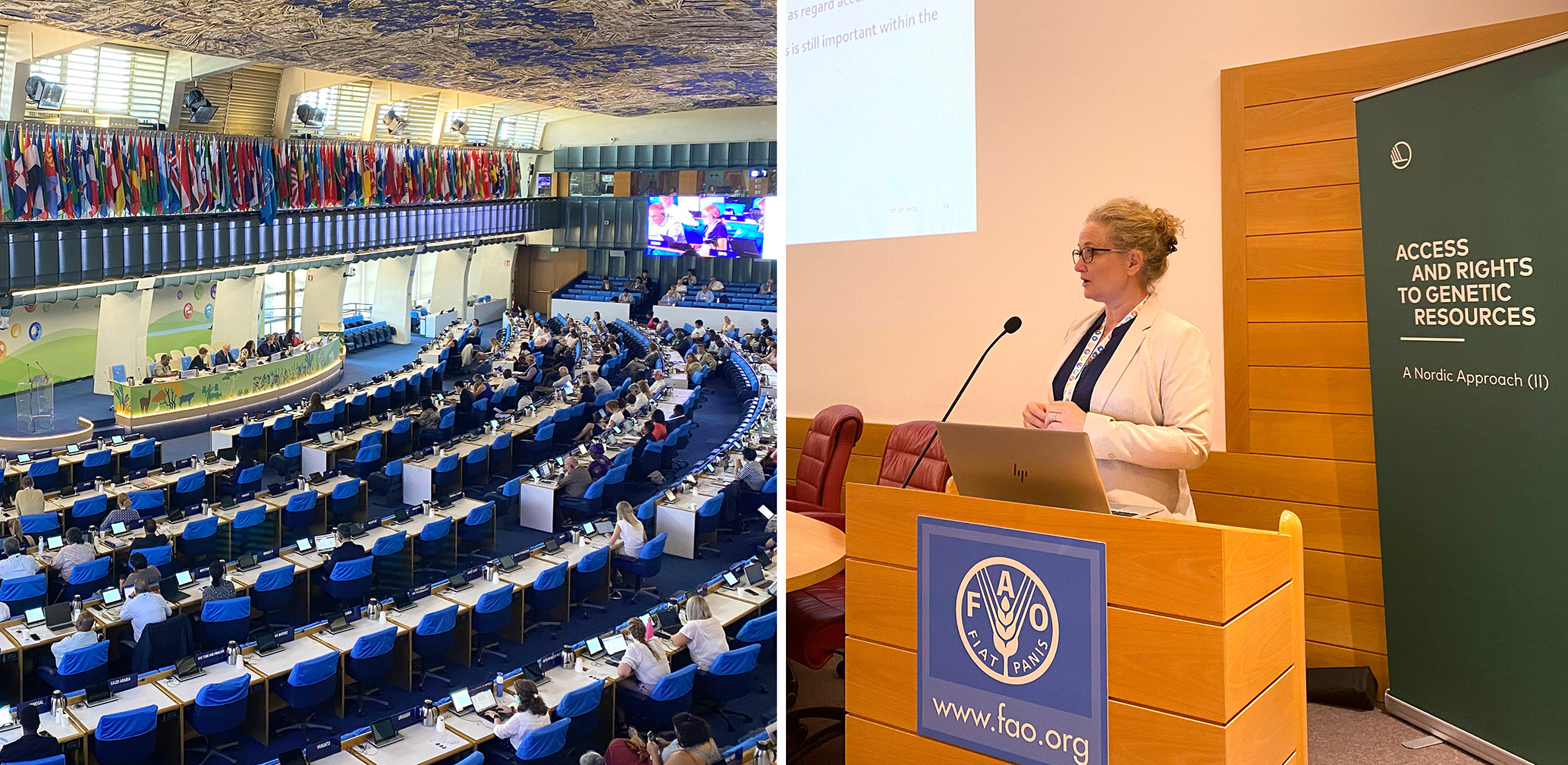 A collage of two photos showing a formal meeting room with flags and a woman talking at a podium.