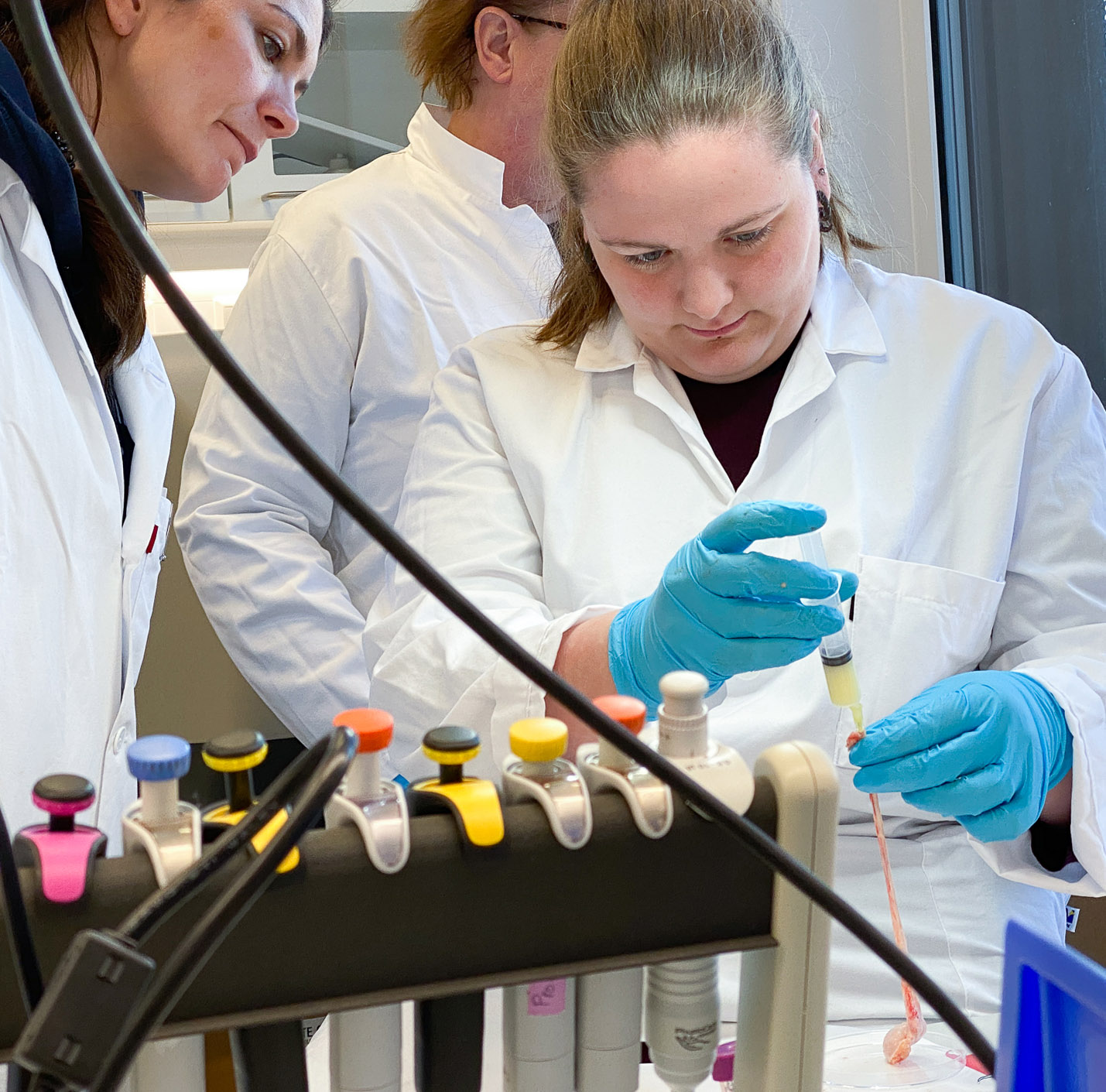 A woman is holding a test tube, she is wearing a white lab coat. 