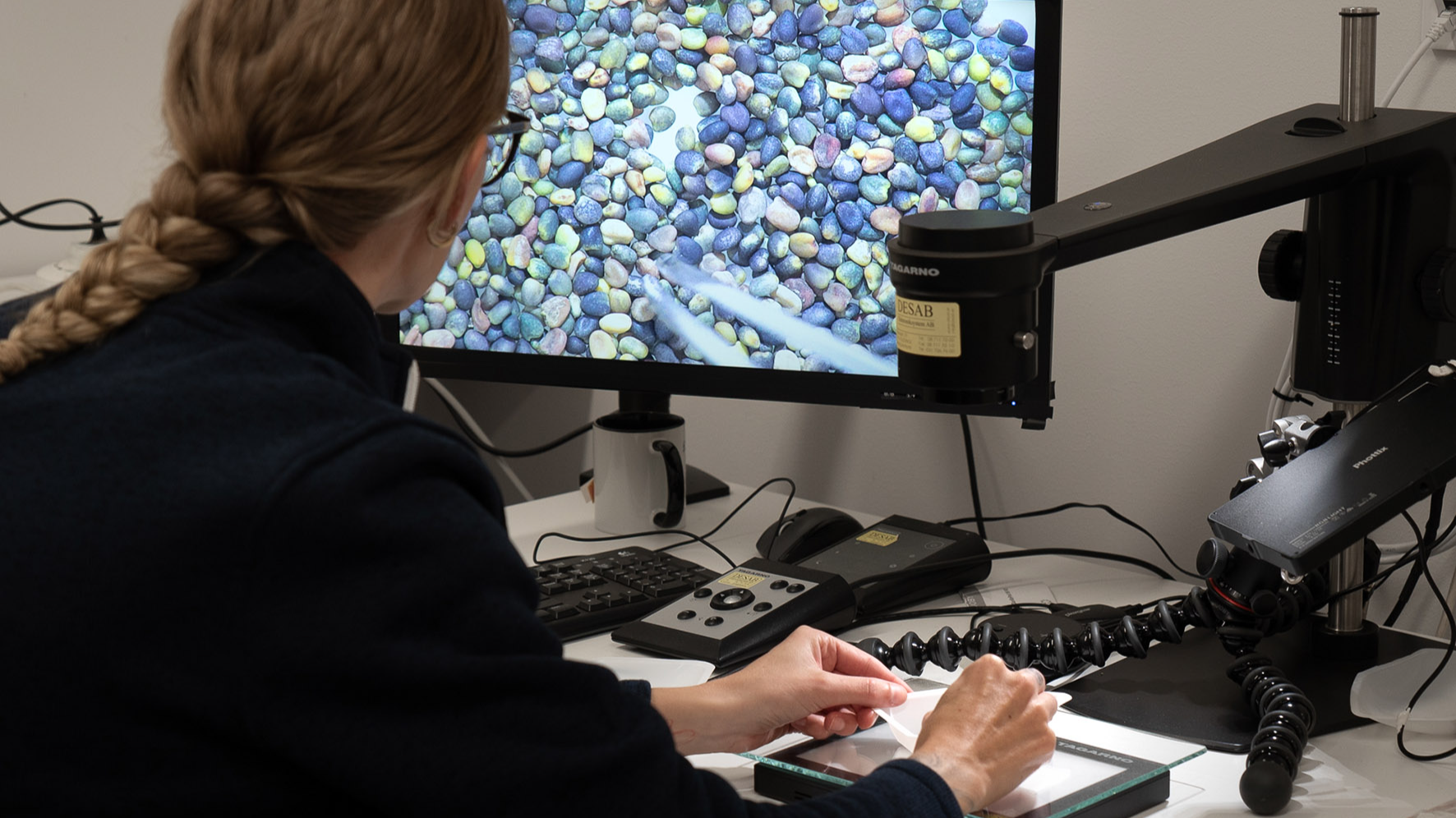 A person studies seeds under a microscope with tweezers, an image of the seeds is seen on a screen.